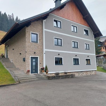 Ferienwohnung Schmiedsipplbad غوساو المظهر الخارجي الصورة