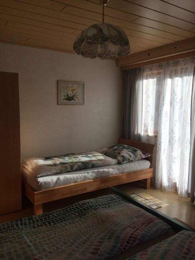 Ferienwohnung Schmiedsipplbad غوساو المظهر الخارجي الصورة