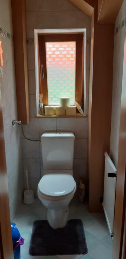 Ferienwohnung Schmiedsipplbad غوساو المظهر الخارجي الصورة
